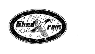 SHED RAIN logo