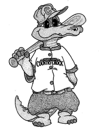 SHEDD'S SPREAD COUNTRY CROCK logo