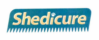 SHEDICURE logo