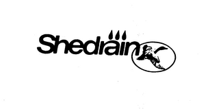 SHEDRAIN logo