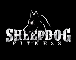 SHEEPDOG FITNESS logo