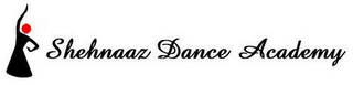 SHEHNAAZ DANCE ACADEMY logo