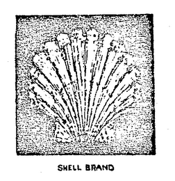 SHELL BRAND logo