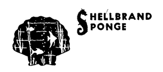 SHELLBRAND SPONGE logo