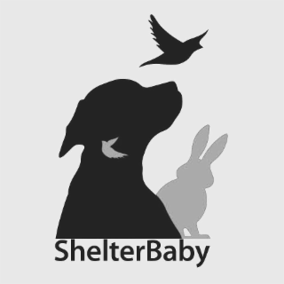 SHELTERBABY logo