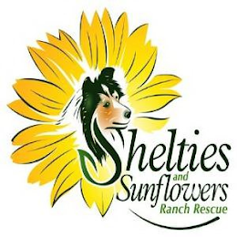 SHELTIES & SUNFLOWERS RANCH RESCUE logo