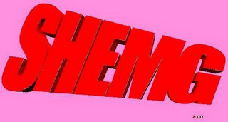 SHEMG & CO logo