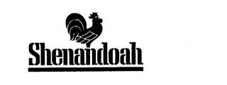 SHENANDOAH logo