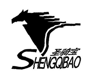 SHENGQIBAO logo