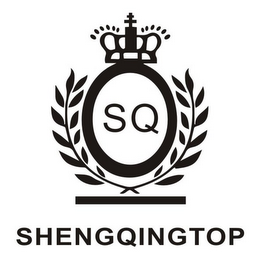 SHENGQINGTOP logo