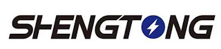 SHENGTONG logo