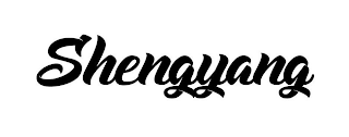 SHENGYANG logo