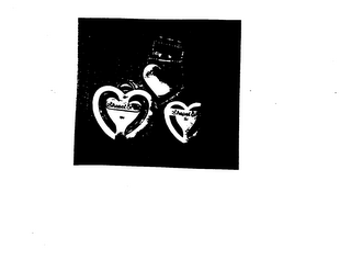 SHEPEL & CO logo