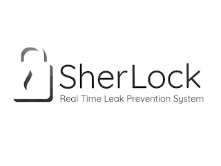 SHERLOCK REAL TIME LEAK PREVENTION SYSTEM