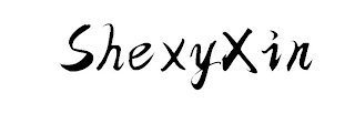 SHEXYXIN logo