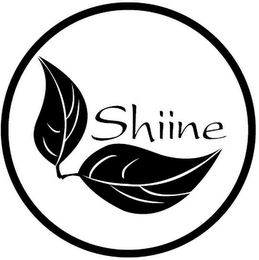 SHIINE logo