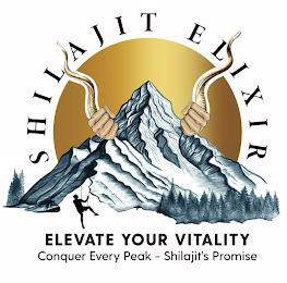 SHILAJIT ELIXIR, ELEVATE YOUR VITALITY CONQUER EVERY PEAK - SHILAJIT'S PROMISE logo