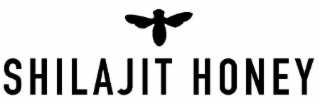 SHILAJIT HONEY logo