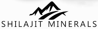 SHILAJIT MINERALS logo