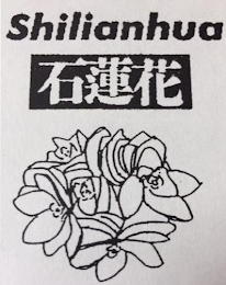 SHILIANHUA logo