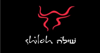 SHILOH logo