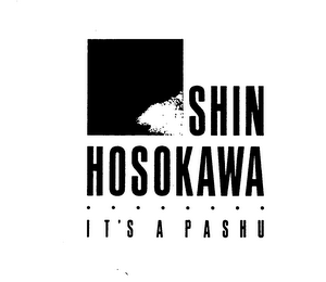 SHIN HOSOKAWA IT'S A PASHU logo