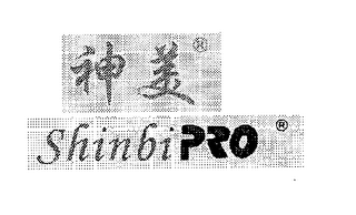 SHINBI PRO logo
