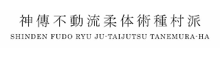 SHINDEN FUDO RYU JU-TAIJUTSU TANEMURA-HA logo