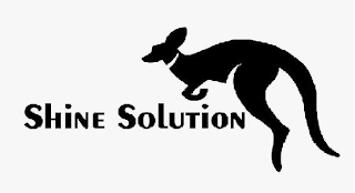 SHINE SOLUTION logo