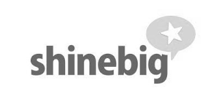 SHINEBIG logo