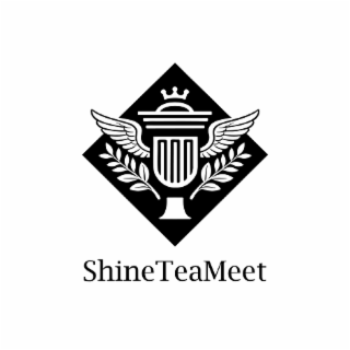 SHINETEAMEET logo