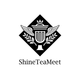 SHINETEAMEET logo