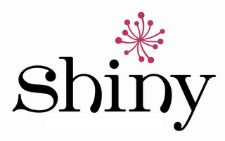 SHINY logo