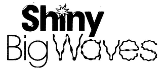 SHINY BIG WAVES logo