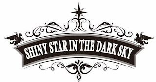 SHINY STAR IN THE DARK SKY logo