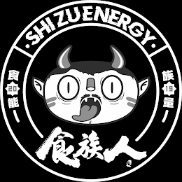 · SHIZUENERGY · 20 19 logo