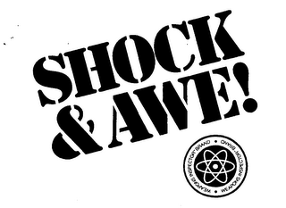 SHOCK & AWE! WEAPONS INSPECTOR-BRAND logo