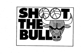 SHOOT THE BULL logo
