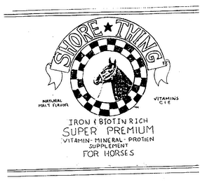 SHORE THING logo