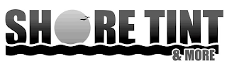 SHORE TINT & MORE logo