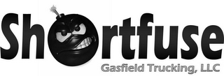 SHORTFUSE GASFIELD TRUCKING, LLC logo