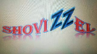 SHOVIZZEL logo