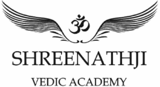 SHREENATHJI VEDIC ACADEMY logo