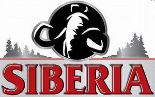 SIBERIA logo