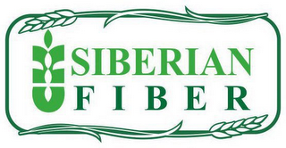 SIBERIAN FIBER logo