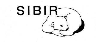 SIBIR logo