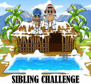 SIBLING CHALLENGE SKI NUTS logo