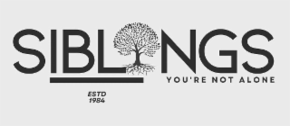 SIBLINGS YOU'RE NOT ALONE ESTD 1984 logo