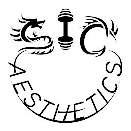 SIC AESTHETICS logo