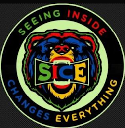 SICE SEEING INSIDE CHANGES EVERYTHING logo